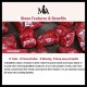 Cinnabar Bamboo Concentration Bracelet Cinnabar Bamboo Concentration Bracelet