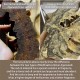 Cambodia Agarwood Nine Points Water Balance Bracelet