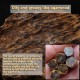 Cambodia Agarwood Nine Points Water Balance Bracelet