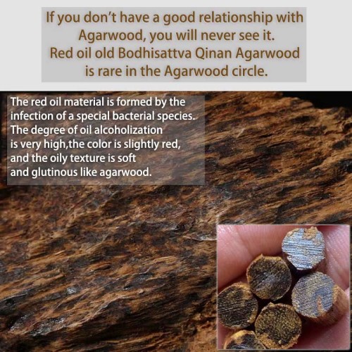 Cambodia Agarwood Nine Points Water Balance Bracelet