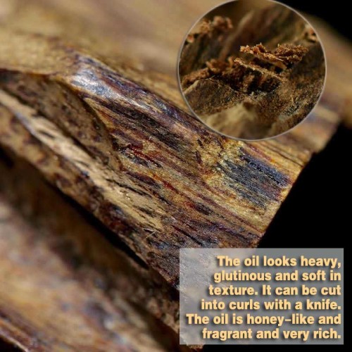 108 Mala Hainan Green Agarwood Calm Bracelet 108 Mala Hainan Green Agarwood Calm Bracelet