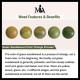 Zodiac Rosewood Sandalwood Copper Coin Calm Bracelet Zodiac Rosewood Sandalwood Copper Coin Calm Bracelet