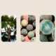 108 Beads Bodhi Seed Blessing Meditation Mala Bracelet 108 Beads Bodhi Seed Blessing Meditation Mala Bracelet