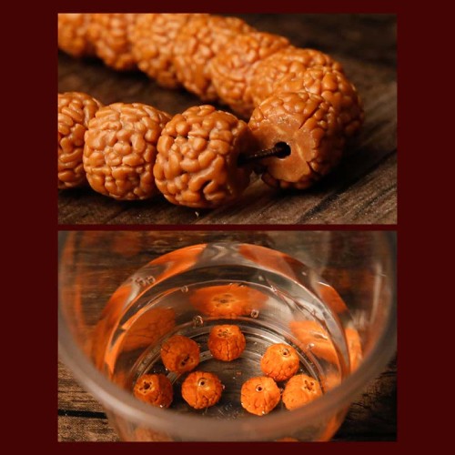 Rudraksha Bodhi Seed Zodiac Buddha Wealth Bracelet Rudraksha Bodhi Seed Zodiac Buddha Wealth Bracelet