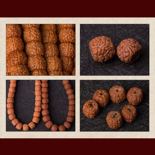 Rudraksha Bodhi Seed Zodiac Buddha Wealth Bracelet Rudraksha Bodhi Seed Zodiac Buddha Wealth Bracelet
