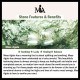 Stone Quartz Healing Beads Bracelet Stone Quartz Healing Beads Bracelet