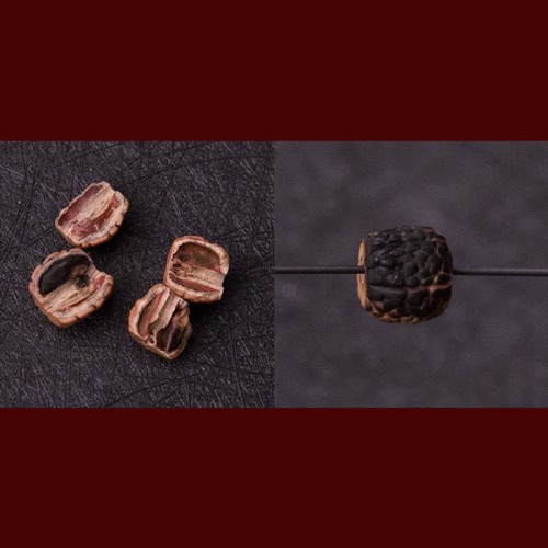 Rudraksha Bodhi Seed Zodiac Buddha Wealth Bracelet Rudraksha Bodhi Seed Zodiac Buddha Wealth Bracelet