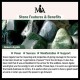108 Mala Green Agate Power Support Bracelet 108 Mala Green Agate Power Support Bracelet