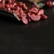 Cinnabar Chinese Zodiac Hetian Jade Bracelet