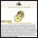 Citrine Pixiu Wealth Protection Bracelet