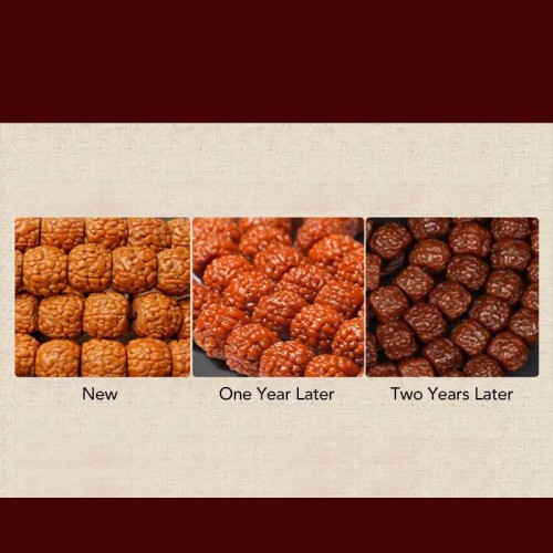 Rudraksha Bodhi Seed Zodiac Buddha Wealth Bracelet Rudraksha Bodhi Seed Zodiac Buddha Wealth Bracelet