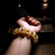 Sheep Horn Om Mani Padme Hum Auspicious Bracelet Sheep Horn Om Mani Padme Hum Auspicious Bracelet