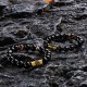 Black Onyx Tiger Eye Lion Protection Bracelet