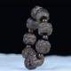 Ebony Wood Arhats Lotus Dragon Balance Bracelet