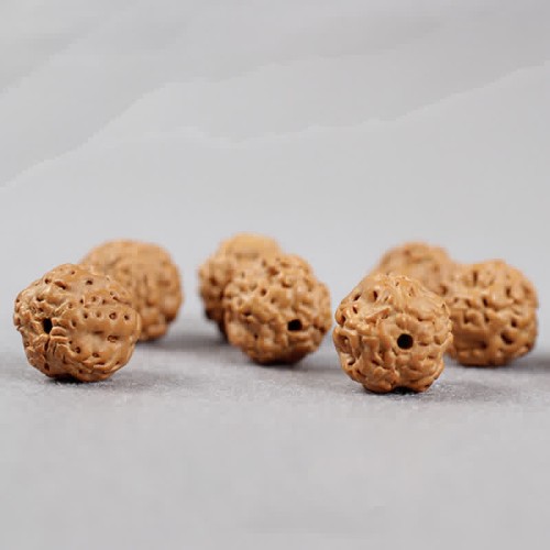 Tibet Rudraksha Bodhi Seed Dzi Amber Wealth Bracelet Tibet Rudraksha Bodhi Seed Dzi Amber Wealth Bracelet