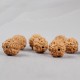 Tibet Rudraksha Bodhi Seed Dzi Amber Wealth Bracelet Tibet Rudraksha Bodhi Seed Dzi Amber Wealth Bracelet
