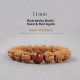 Tibet Rudraksha Bodhi Seed Dzi Amber Wealth Bracelet Tibet Rudraksha Bodhi Seed Dzi Amber Wealth Bracelet
