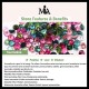 Tourmaline Jade Love Bracelet Tourmaline Jade Love Bracelet