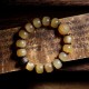 Sheep Horn Om Mani Padme Hum Auspicious Bracelet Sheep Horn Om Mani Padme Hum Auspicious Bracelet