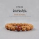 Tibet Rudraksha Bodhi Seed Dzi Amber Wealth Bracelet Tibet Rudraksha Bodhi Seed Dzi Amber Wealth Bracelet