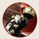 Gold Sheen Obsidian PiXiu Wealth Bracelet Gold Sheen Obsidian PiXiu Wealth Bracelet
