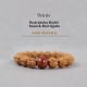 Tibet Rudraksha Bodhi Seed Dzi Amber Wealth Bracelet Tibet Rudraksha Bodhi Seed Dzi Amber Wealth Bracelet