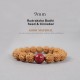 Tibet Rudraksha Bodhi Seed Dzi Amber Wealth Bracelet Tibet Rudraksha Bodhi Seed Dzi Amber Wealth Bracelet