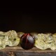 Citrine PiXiu Tiger Eye Prosperity Protection Bracelet Citrine PiXiu Tiger Eye Prosperity Protection Bracelet