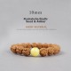 Tibet Rudraksha Bodhi Seed Dzi Amber Wealth Bracelet Tibet Rudraksha Bodhi Seed Dzi Amber Wealth Bracelet