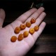 Zodiac Buddha Amber Anxiety Relief Bracelet Zodiac Buddha Amber Anxiety Relief Bracelet