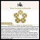 Feng Shui Five Emperor Coins PiXiu Wealth Bracelet