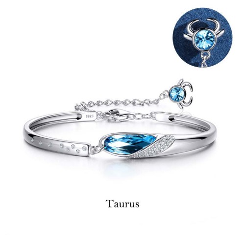 925 Silver Plated Copper Zodiac Charm Bracelet 925 Silver Plated Copper Zodiac Charm Bracelet