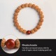 Rudraksha Bodhi Seed Wealth Auspiciousness Bracelet Rudraksha Bodhi Seed Wealth Auspiciousness Bracelet