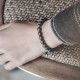 Tibetan Cyan Bodhi Seed Copper Success Bracelet Tibetan Cyan Bodhi Seed Copper Success Bracelet