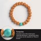 Rudraksha Bodhi Seed Wealth Auspiciousness Bracelet Rudraksha Bodhi Seed Wealth Auspiciousness Bracelet