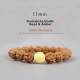 Tibet Rudraksha Bodhi Seed Dzi Amber Wealth Bracelet Tibet Rudraksha Bodhi Seed Dzi Amber Wealth Bracelet
