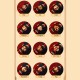 Year of the Dragon Chinese Zodiac Luck Bracelet Year of the Dragon Chinese Zodiac Luck Bracelet