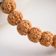 Rudraksha Bodhi Seed Wealth Auspiciousness Bracelet Rudraksha Bodhi Seed Wealth Auspiciousness Bracelet