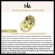 Citrine PiXiu Tiger Eye Prosperity Protection Bracelet Citrine PiXiu Tiger Eye Prosperity Protection Bracelet