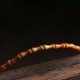 Olive Pit Green Aventurine Bamboo Luck Bracelet