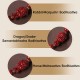 Chinese Zodiac Buddha Cinnabar Amulet Bracelet Chinese Zodiac Buddha Cinnabar Amulet Bracelet