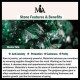 Malachite Protection Calmness Bracelet
