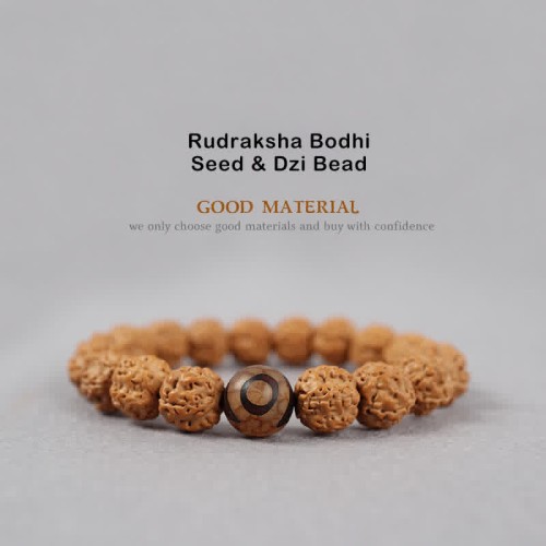 Tibet Rudraksha Bodhi Seed Dzi Amber Wealth Bracelet Tibet Rudraksha Bodhi Seed Dzi Amber Wealth Bracelet