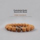 Tibet Rudraksha Bodhi Seed Dzi Amber Wealth Bracelet Tibet Rudraksha Bodhi Seed Dzi Amber Wealth Bracelet