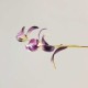 Handmade Velvet Mulberry Silk Orchid Flower Brooch Handmade Velvet Mulberry Silk Orchid Flower Brooch