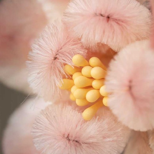 Handmade Yangzhou Velvet Mulberry Silk Peach Blossom Brooch