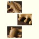 Small Leaf Sandalwood Bunny Relaxation Comb Small Leaf Sandalwood Bunny Relaxation Comb