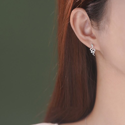 925 Sterling Silver Snake Year Calm Jewelry Set