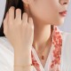 925 Sterling Silver Red Agate Gourd Confidence Jewelry Set 925 Sterling Silver Red Agate Gourd Confidence Jewelry Set