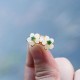 White Jade Flower Luck Blessing Stud Earrings White Jade Flower Luck Blessing Stud Earrings